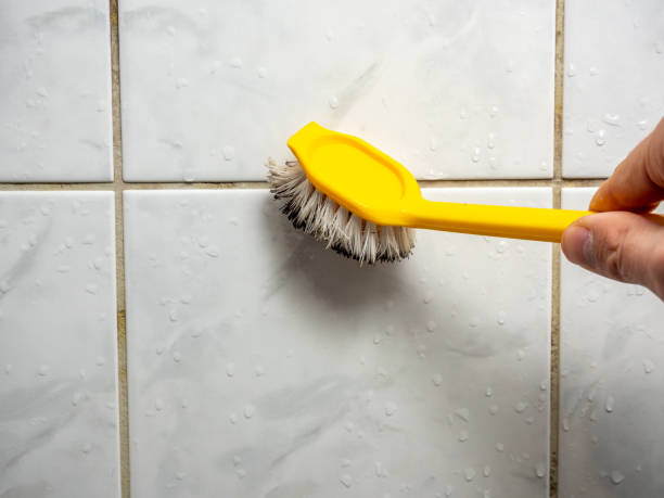 Mold Removal Process in Cherokee, OK