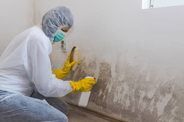 Cherokee, OK Mold Removal Company