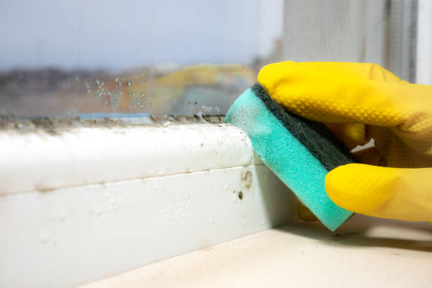 Best Mold Testing  in Cheree, OK